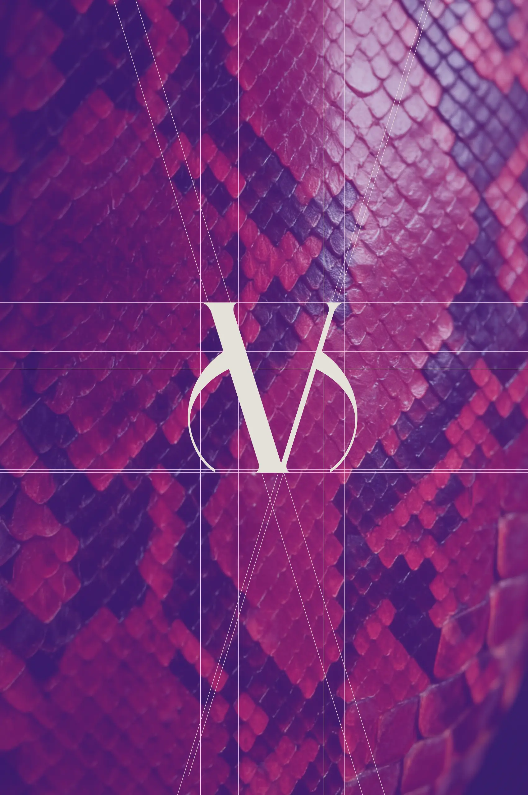 quad-multimedia-victoriacar-branding-7-2